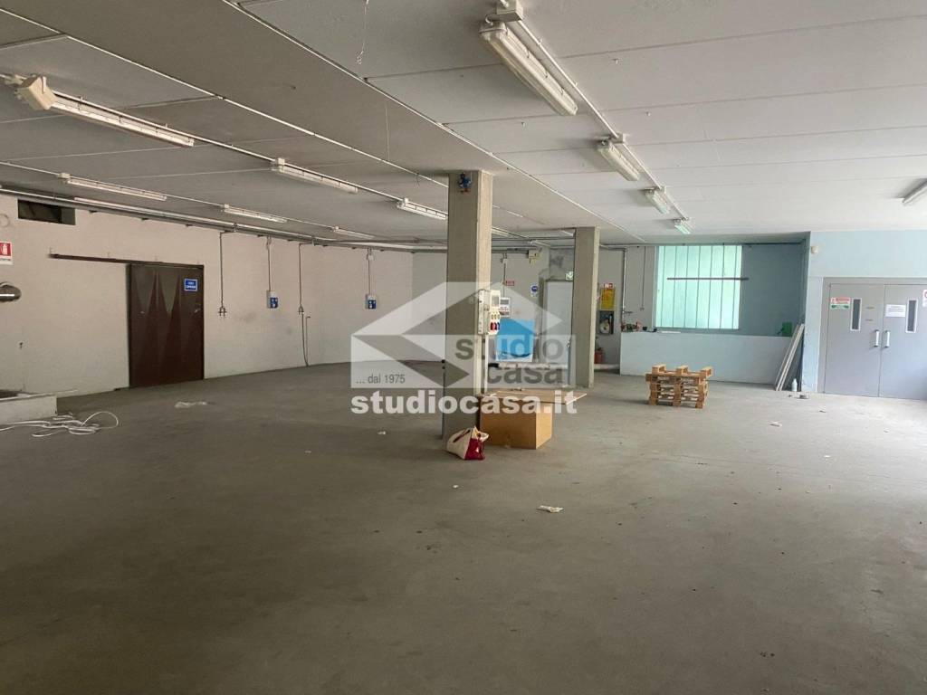 immagine annuncio 5 di 13