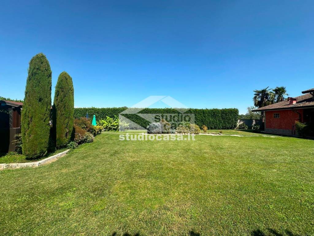 immagine annuncio 11 di 15