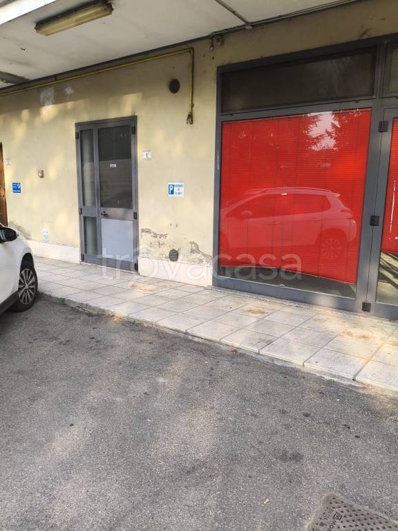 immagine annuncio 1 di 12