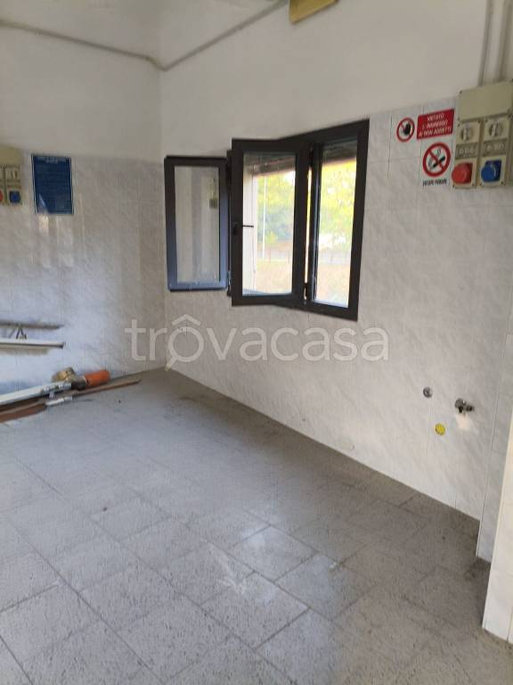 immagine annuncio 8 di 12