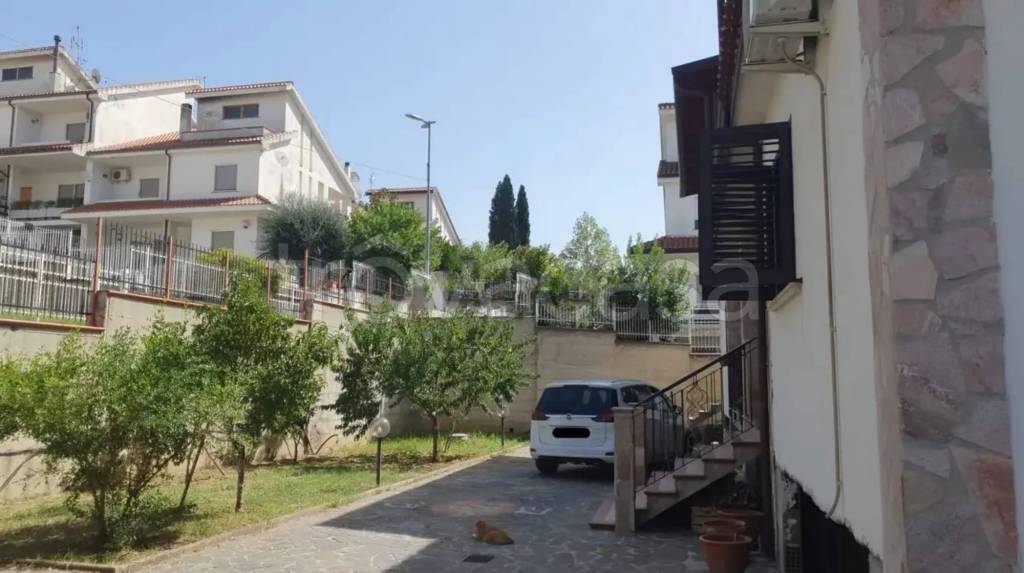 immagine annuncio 2 di 8