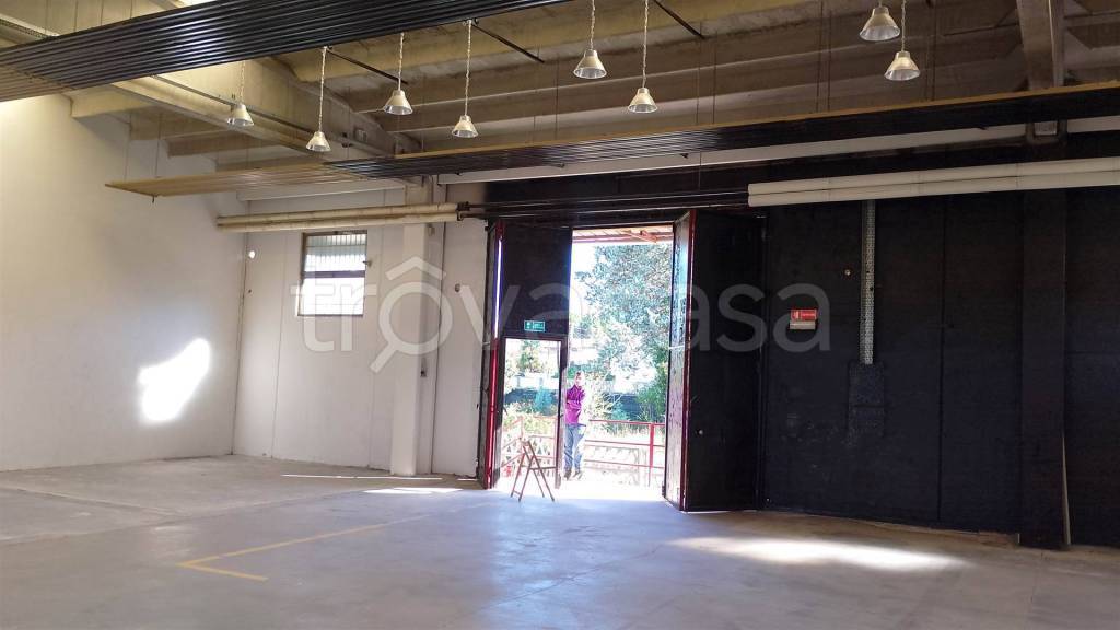 immagine annuncio 5 di 8