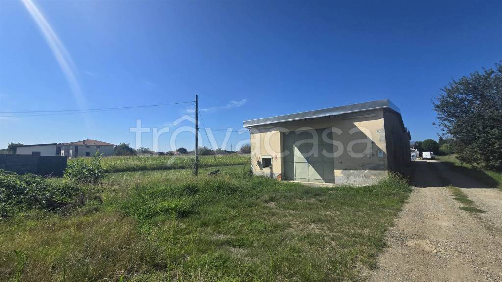 immagine annuncio 1 di 15