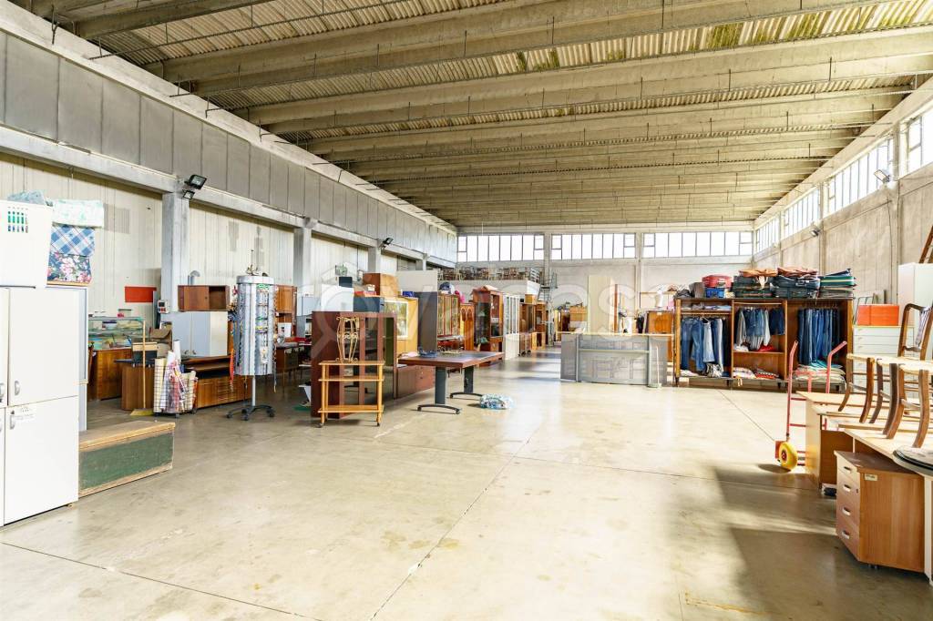 immagine annuncio 6 di 15