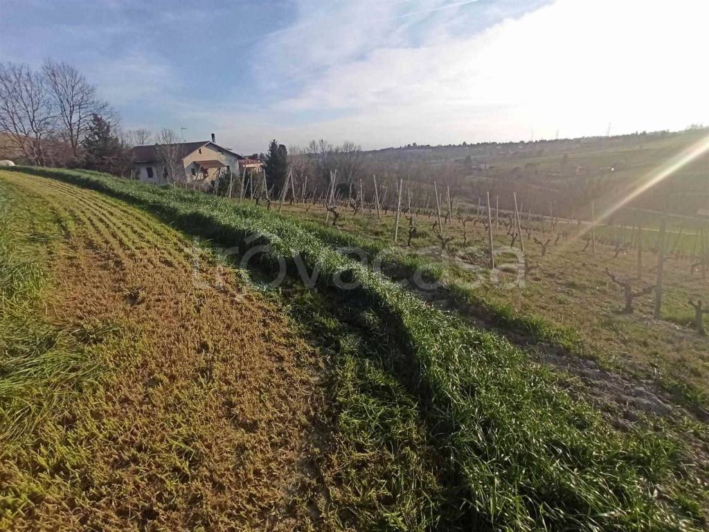 immagine annuncio 7 di 8