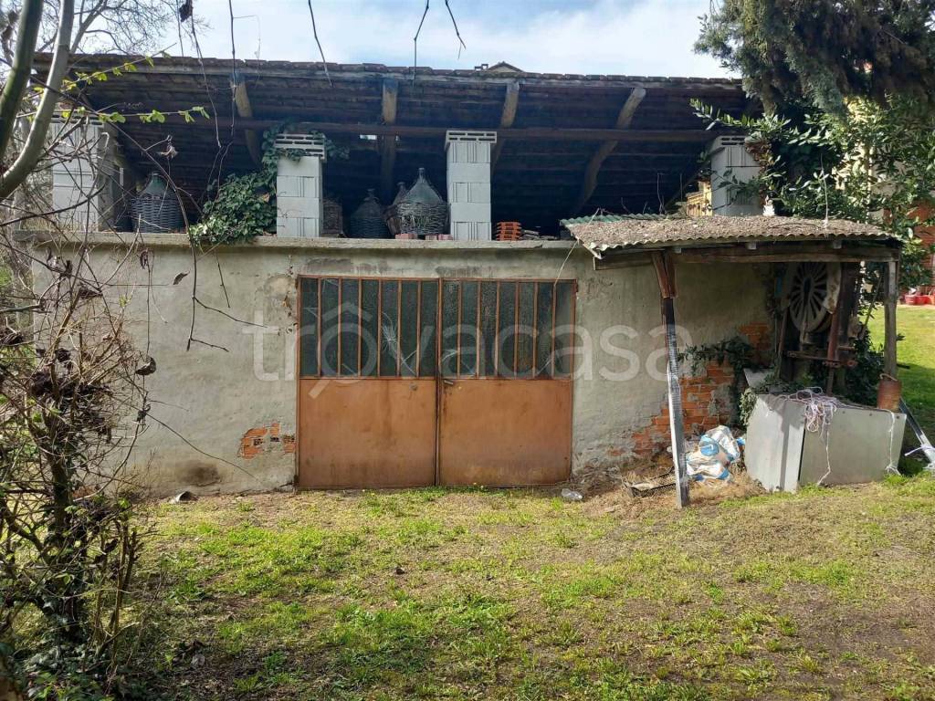 immagine annuncio 12 di 15