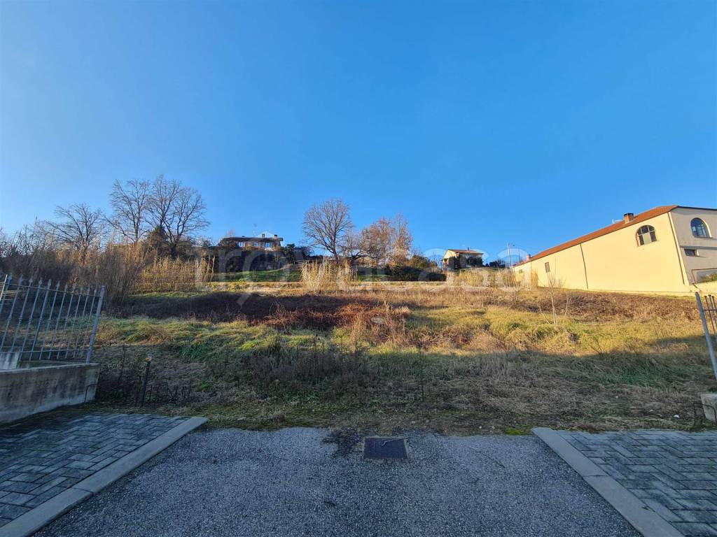 immagine annuncio 2 di 7