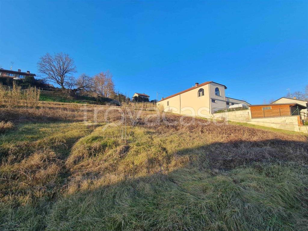 immagine annuncio 4 di 7