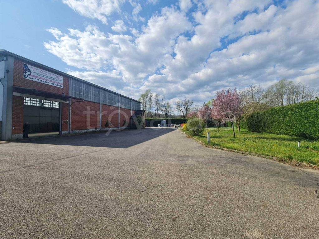 immagine annuncio 1 di 14