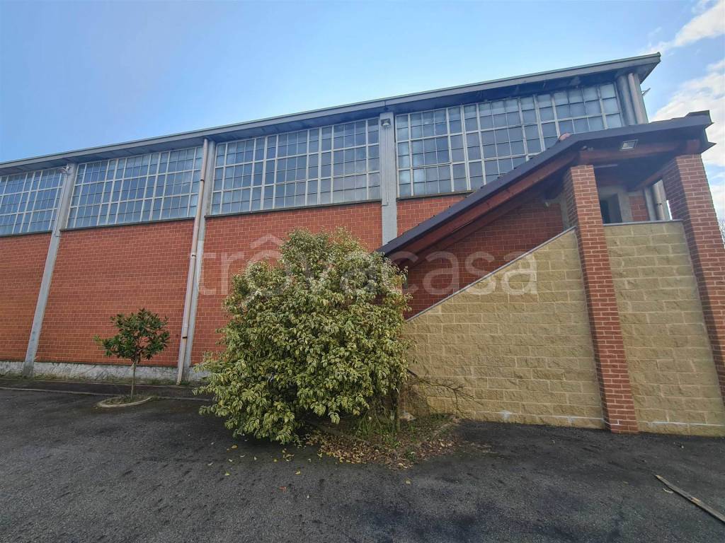 immagine annuncio 2 di 14