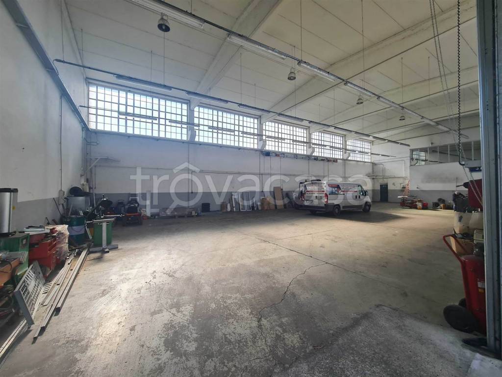 immagine annuncio 5 di 14