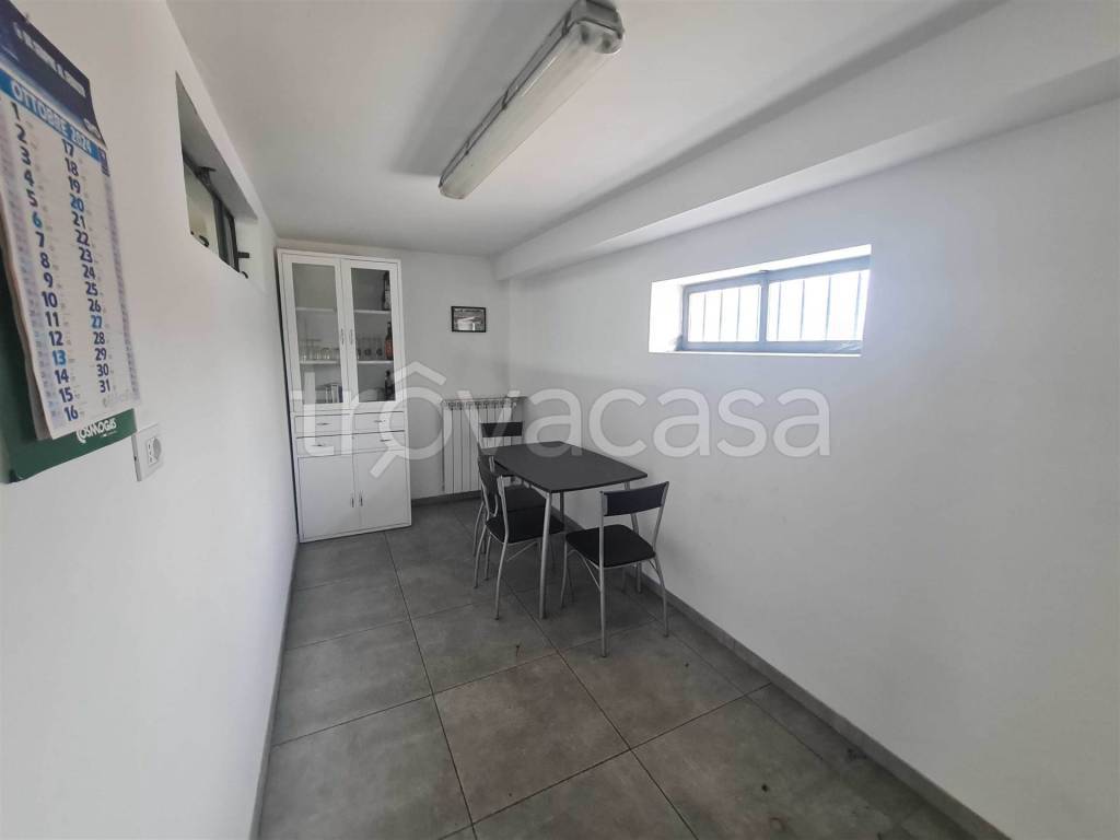 immagine annuncio 9 di 14