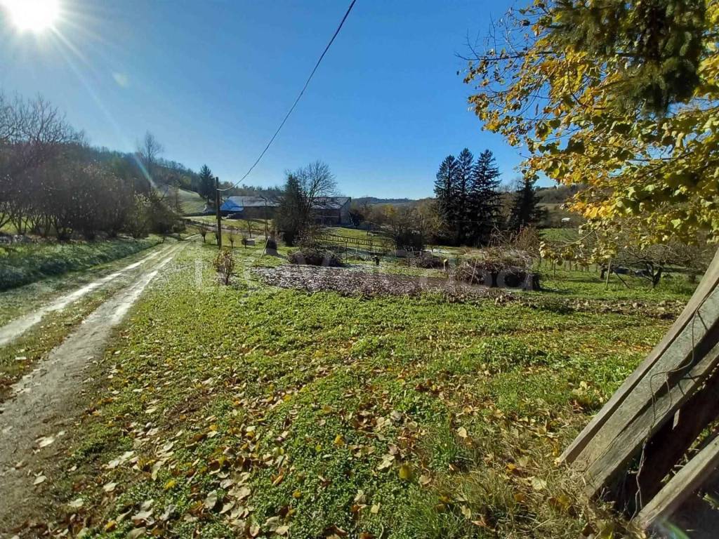 immagine annuncio 11 di 12