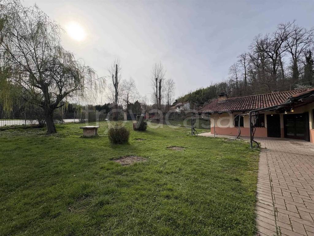 immagine annuncio 11 di 15