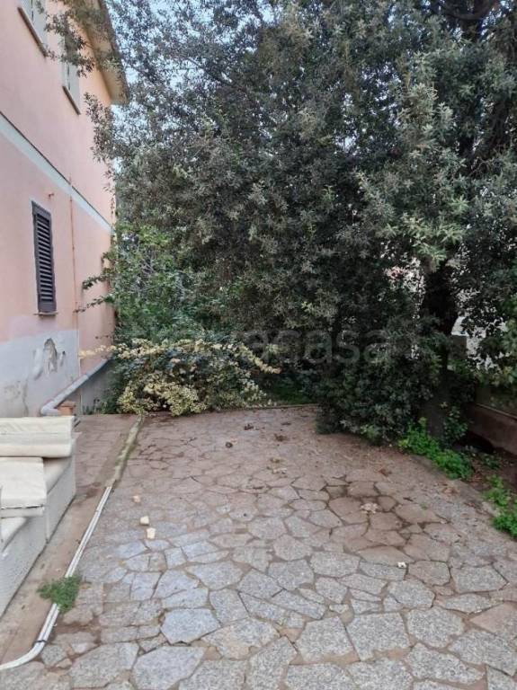 immagine annuncio 10 di 14