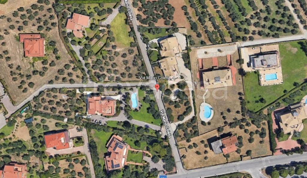 immagine annuncio 1 di 13