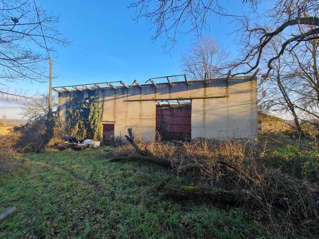 immagine annuncio 6 di 10