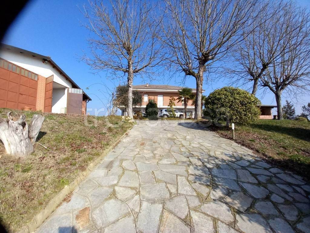 immagine annuncio 2 di 14