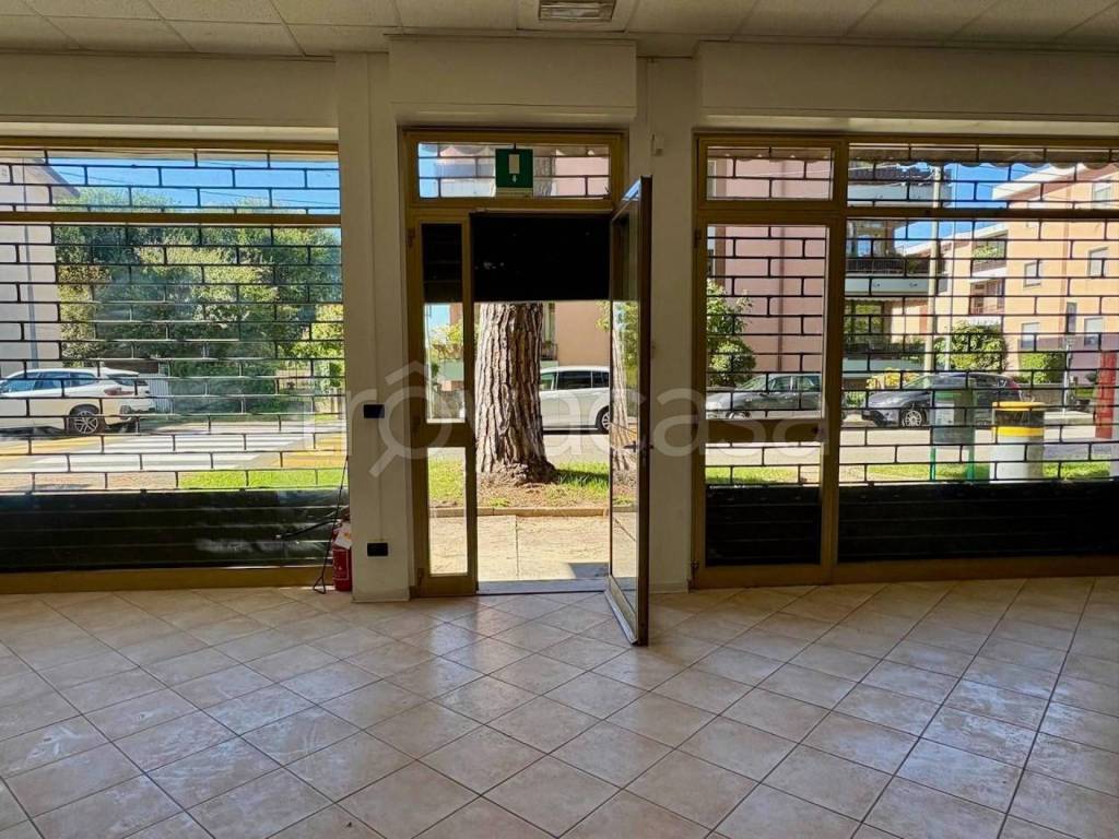 immagine annuncio 3 di 9