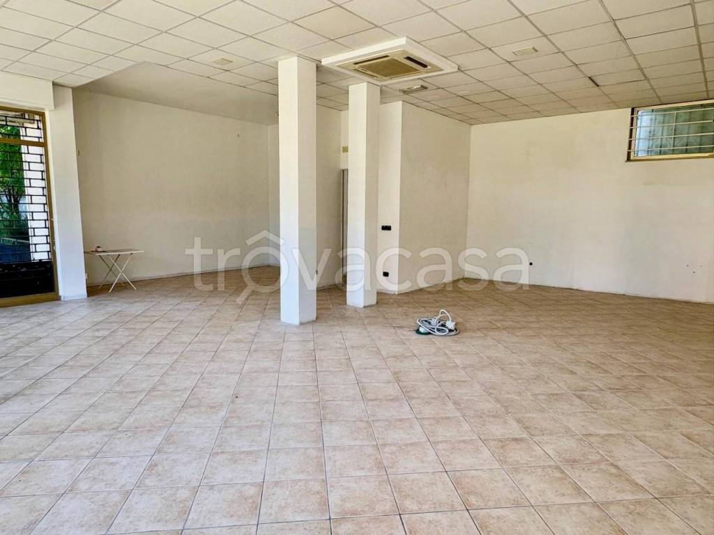 immagine annuncio 5 di 9