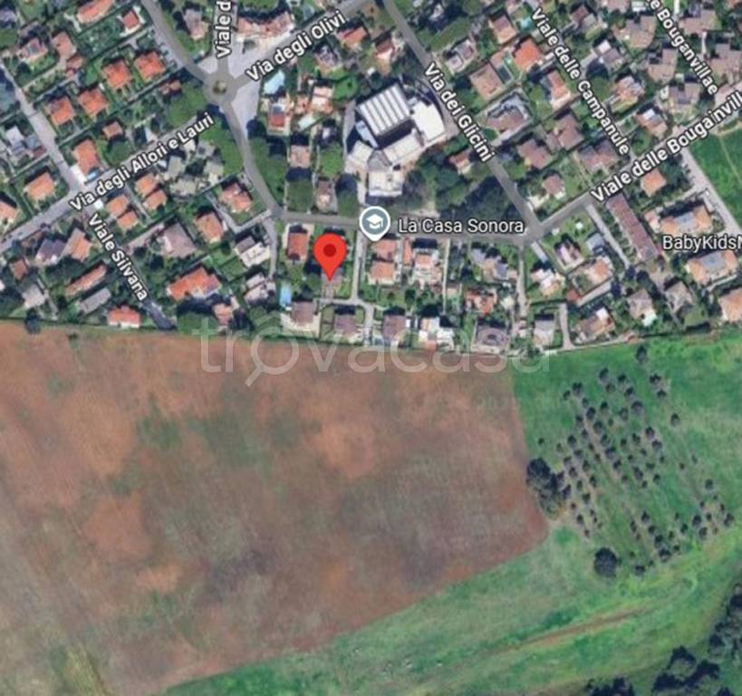 immagine annuncio 1 di 10