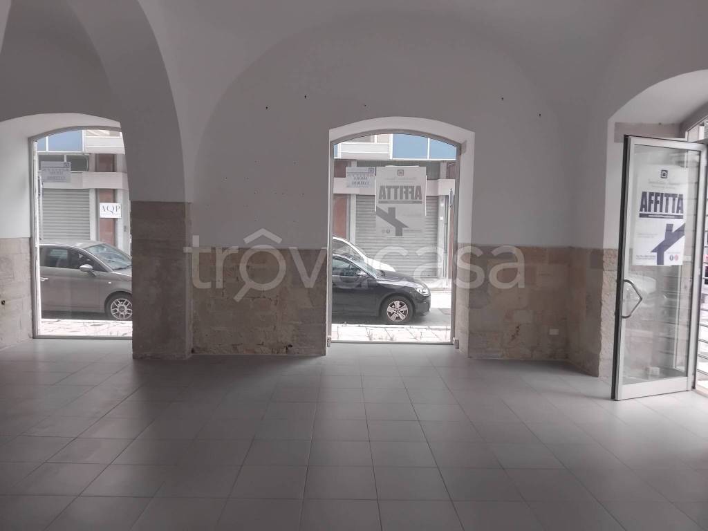 immagine annuncio 12 di 14