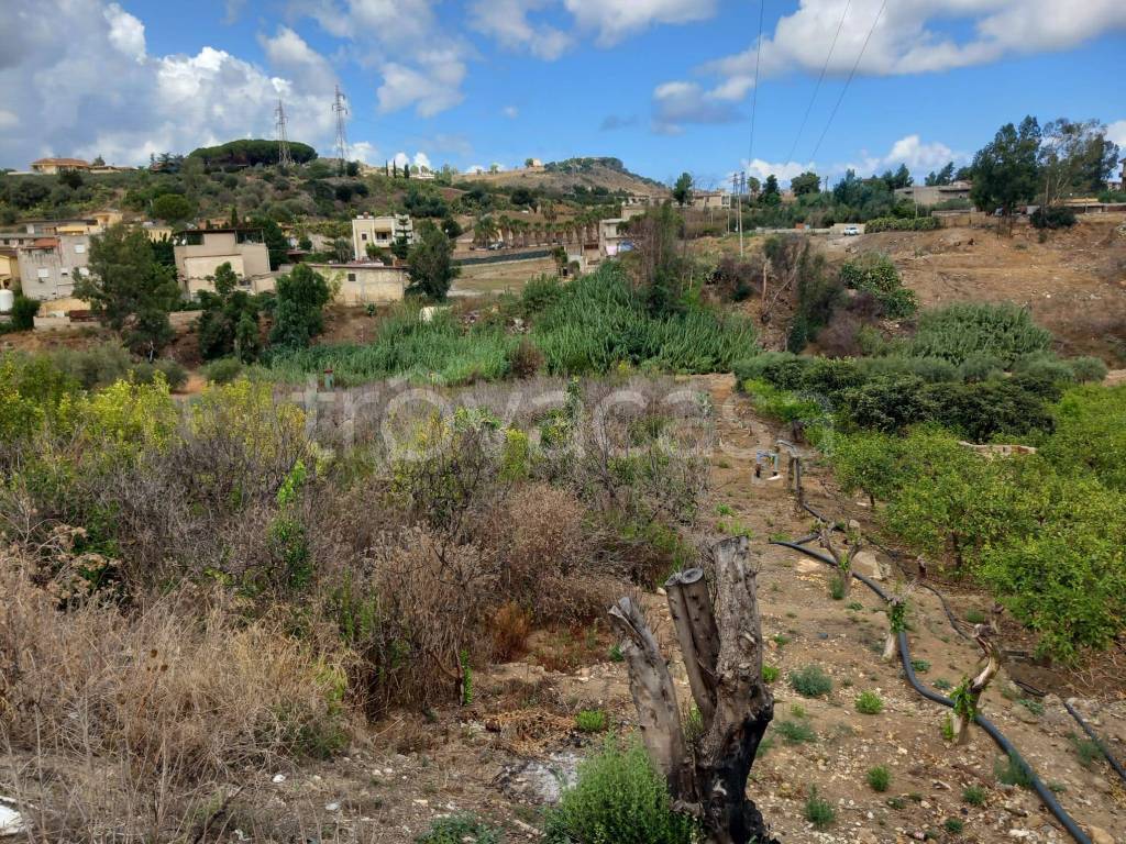 immagine annuncio 6 di 12