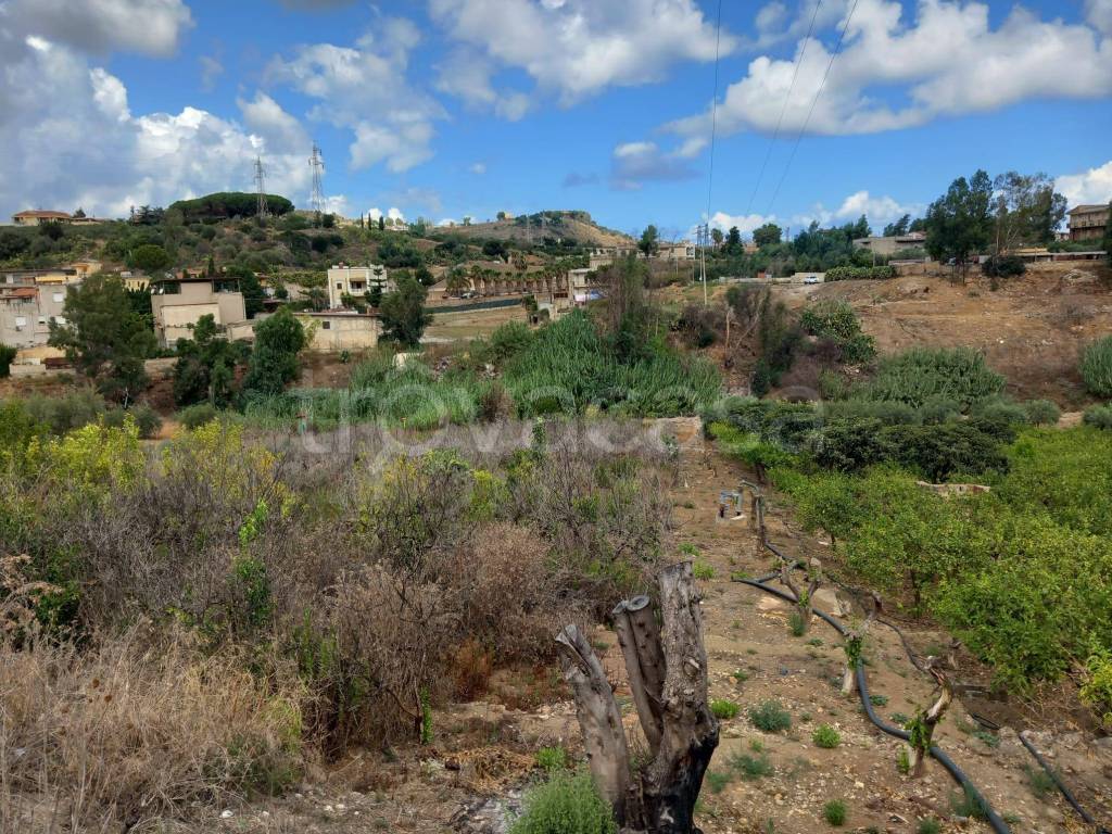 immagine annuncio 9 di 12