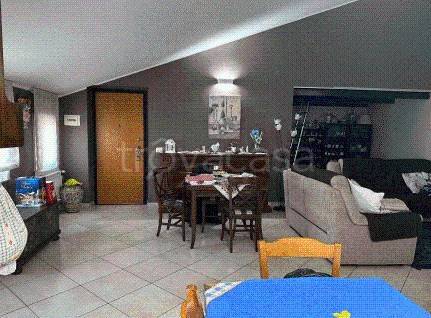 immagine annuncio 5 di 14