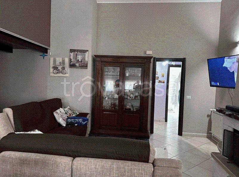 immagine annuncio 6 di 14