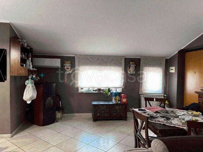 immagine annuncio 7 di 14