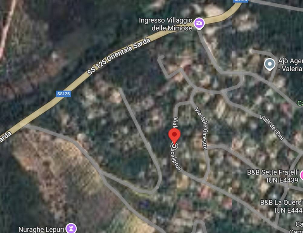 immagine annuncio 3 di 13