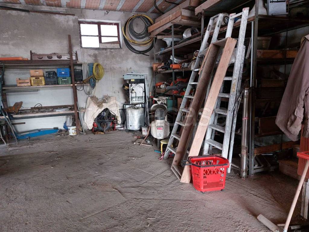 immagine annuncio 9 di 15