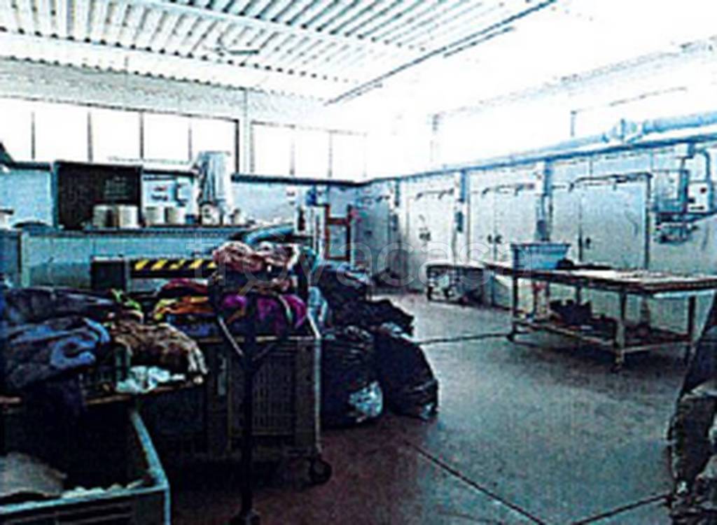 immagine annuncio 6 di 12