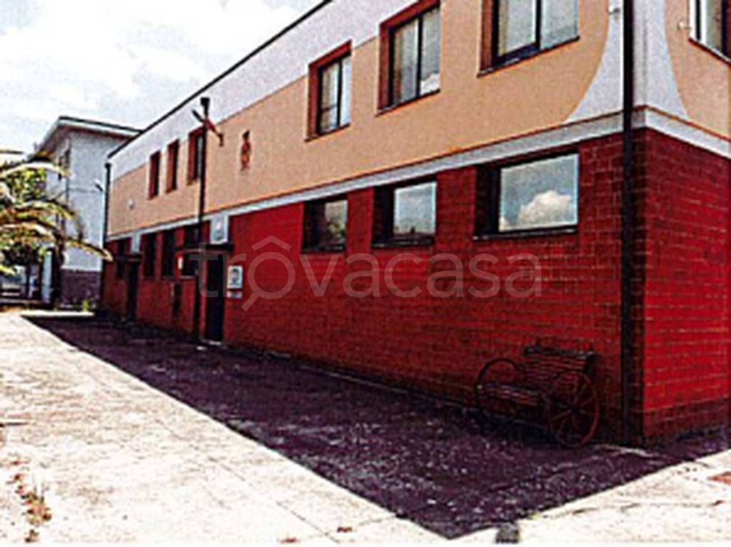 immagine annuncio 9 di 12