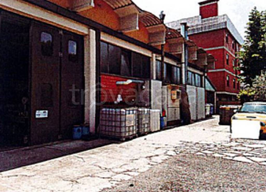 immagine annuncio 10 di 12