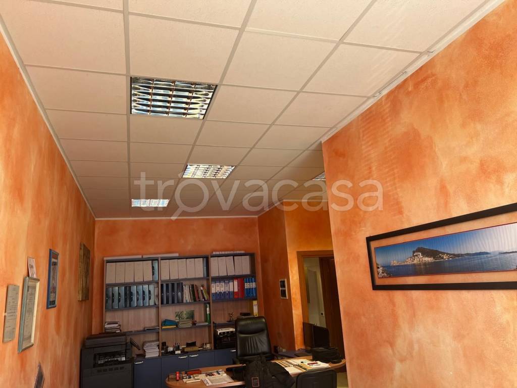 immagine annuncio 2 di 12