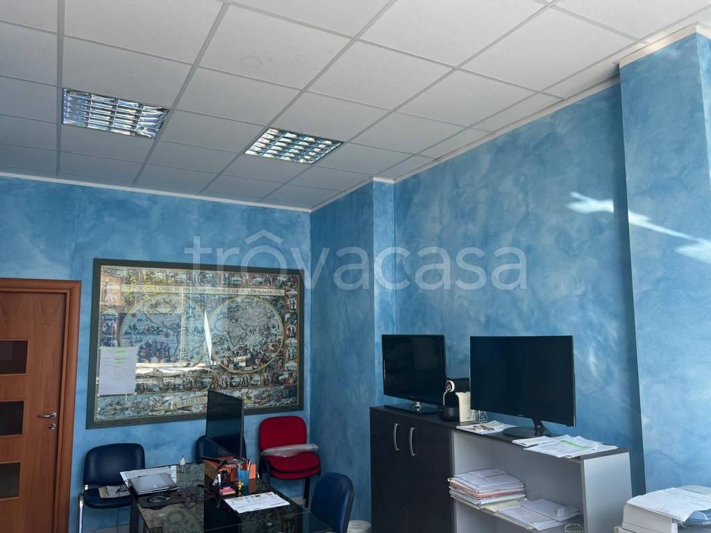 immagine annuncio 3 di 12