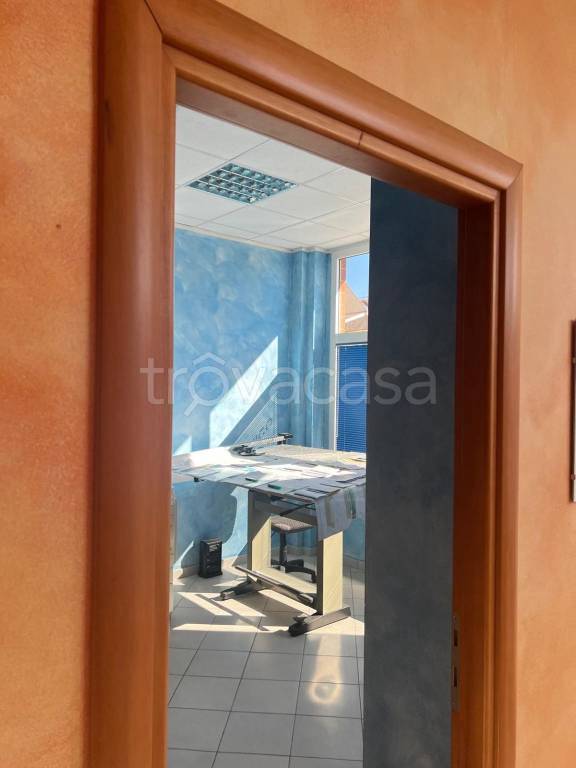 immagine annuncio 9 di 12