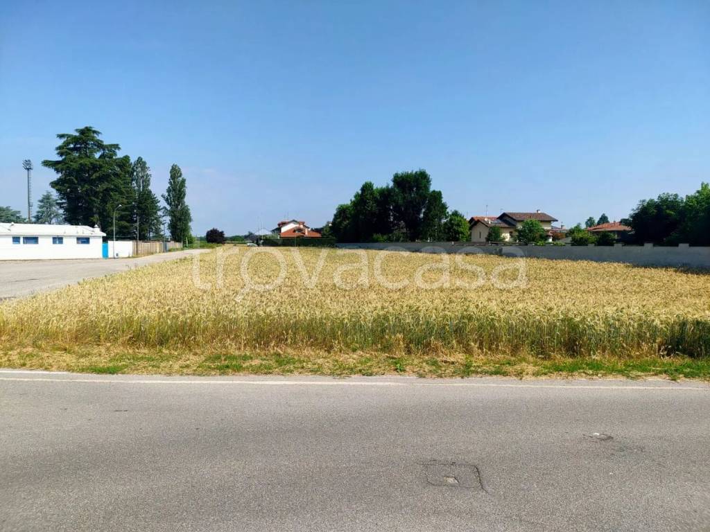 immagine annuncio 4 di 14