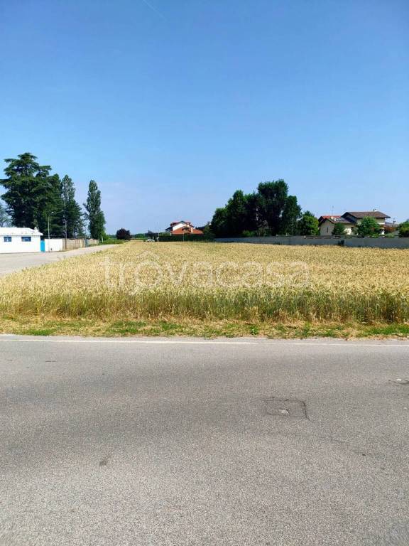 immagine annuncio 5 di 14