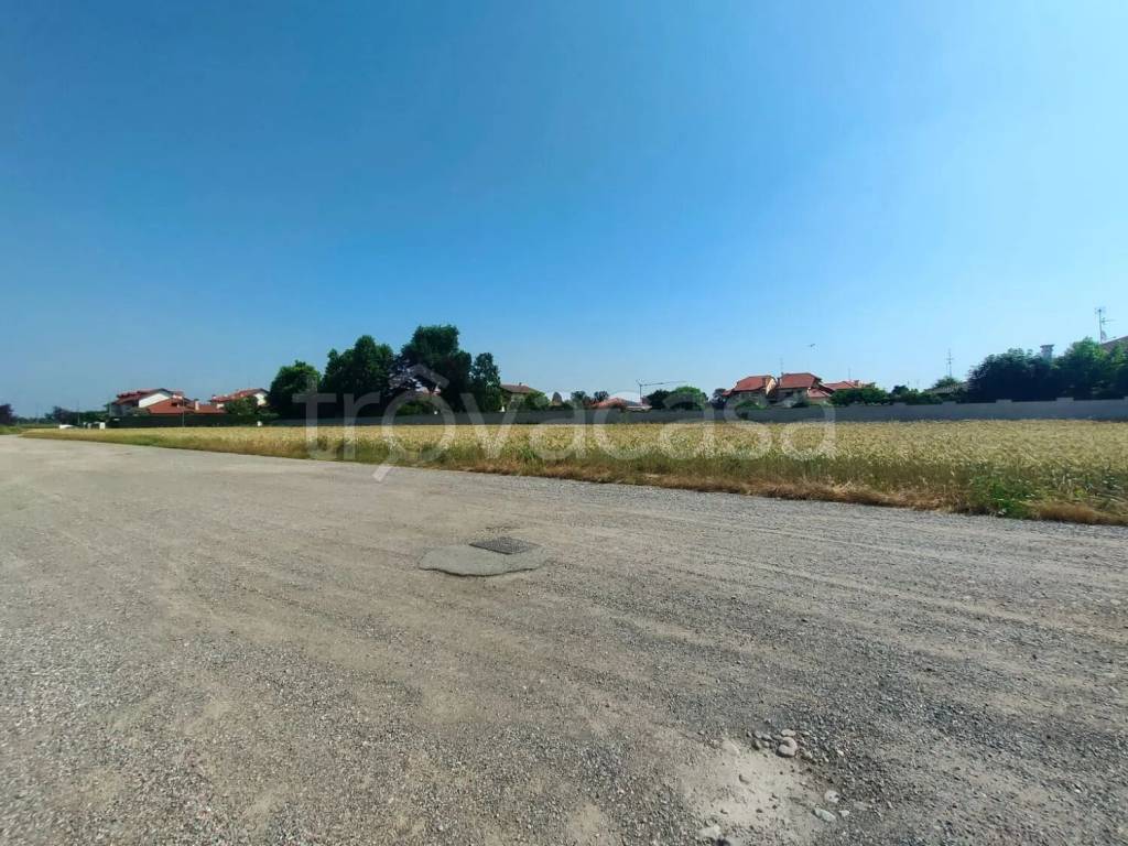 immagine annuncio 7 di 14