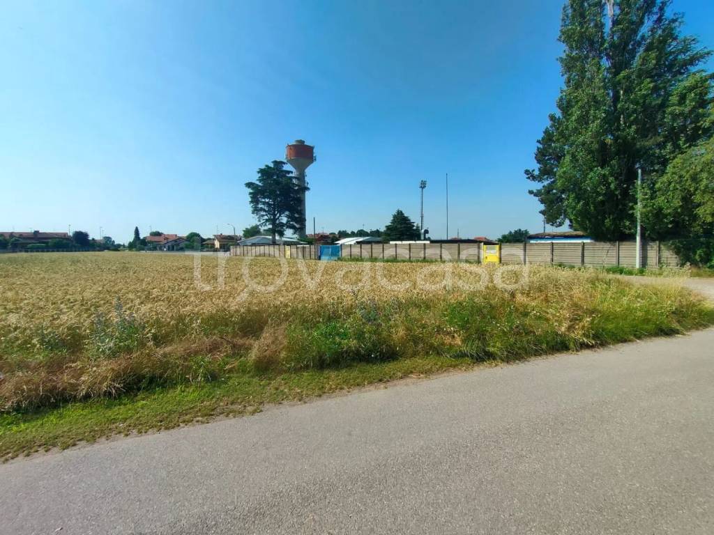 immagine annuncio 9 di 14