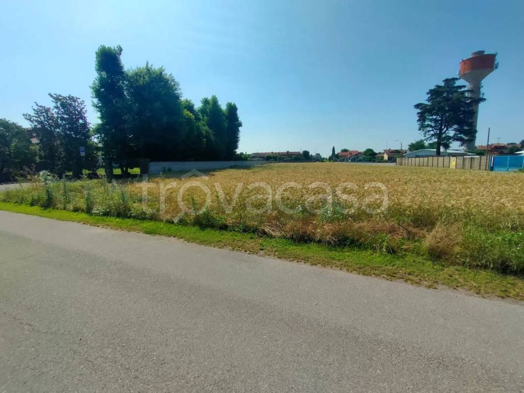 immagine annuncio 10 di 14