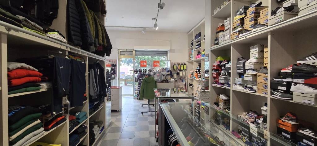 immagine annuncio 3 di 11