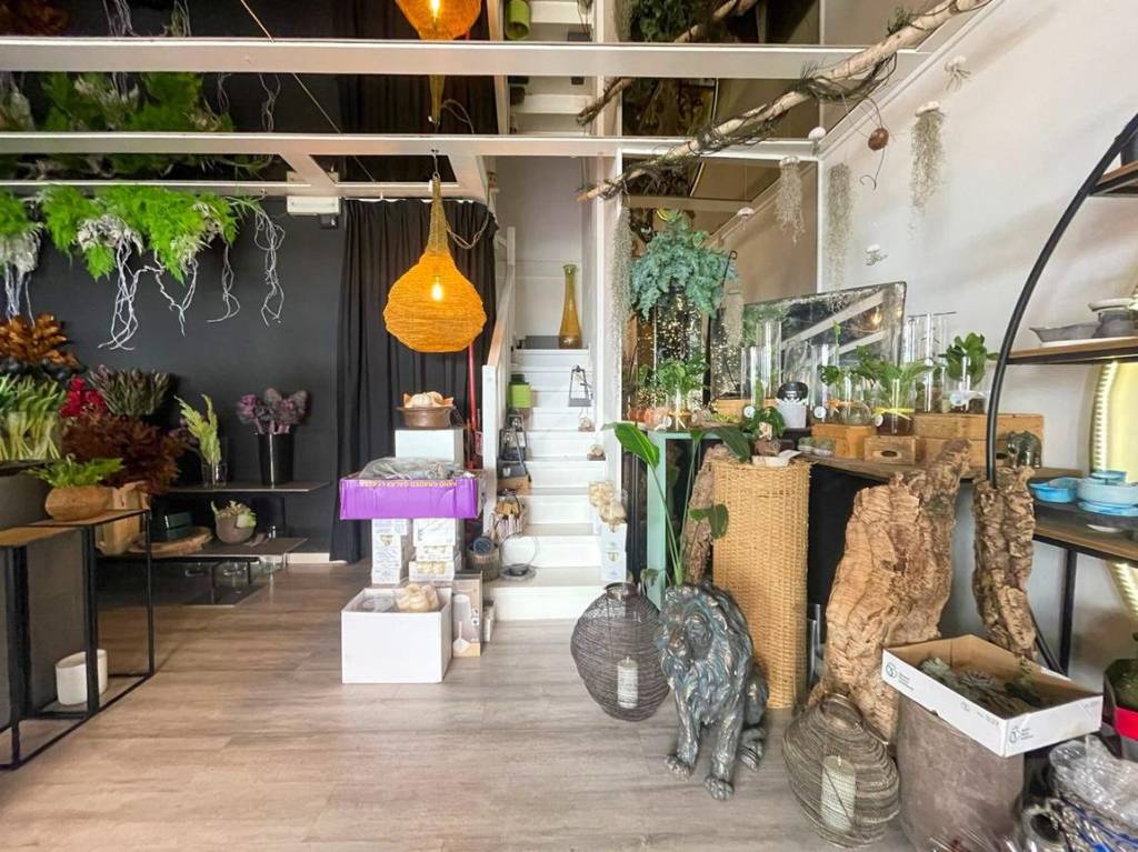 immagine annuncio 2 di 14