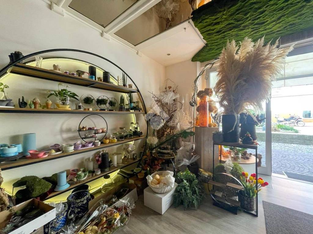 immagine annuncio 7 di 14