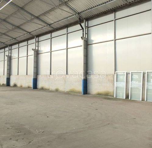 immagine annuncio 1 di 2