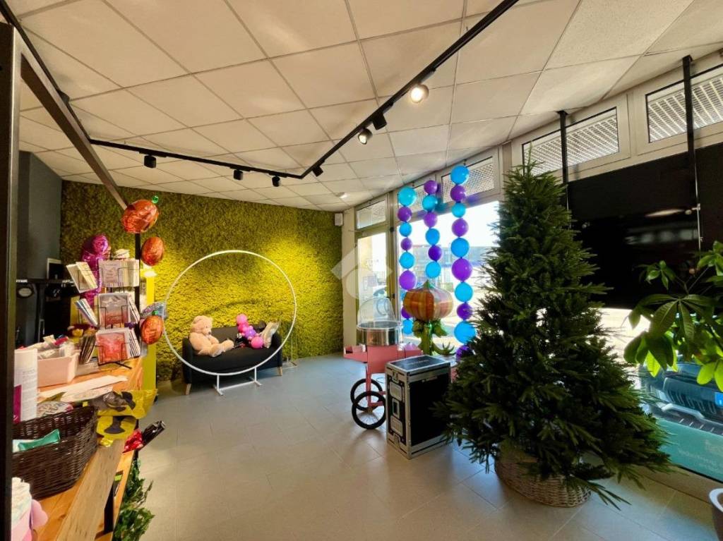 immagine annuncio 1 di 14