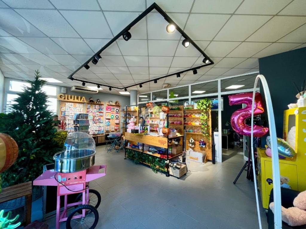 immagine annuncio 5 di 14